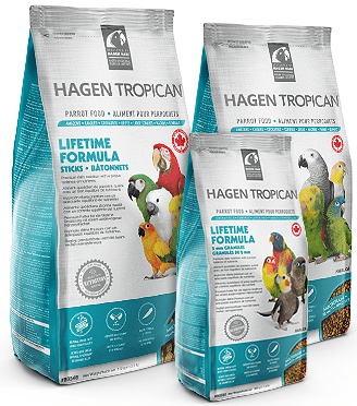 טרופיקן ליף טיים פורמולה כופטיות מזון תוכים Hagen Tropican Lifetime Formula