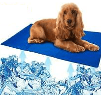 מזרן קירור XL לכלב PET Cooling  mat