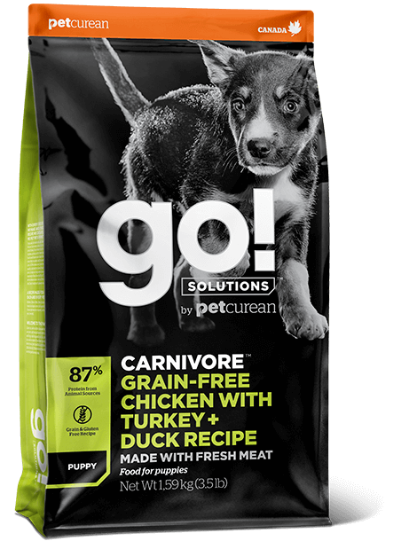 גו ! כלב גור קרניבור  עוף הודו ברווז ללא דגנים  GO! FIT + FREE Puppy Recipe