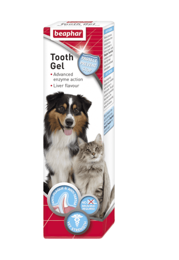 ג'ל ניקוי שיניים ללא צחצוח לכלב וחתול ביהפר Beaphar Tooth Gel