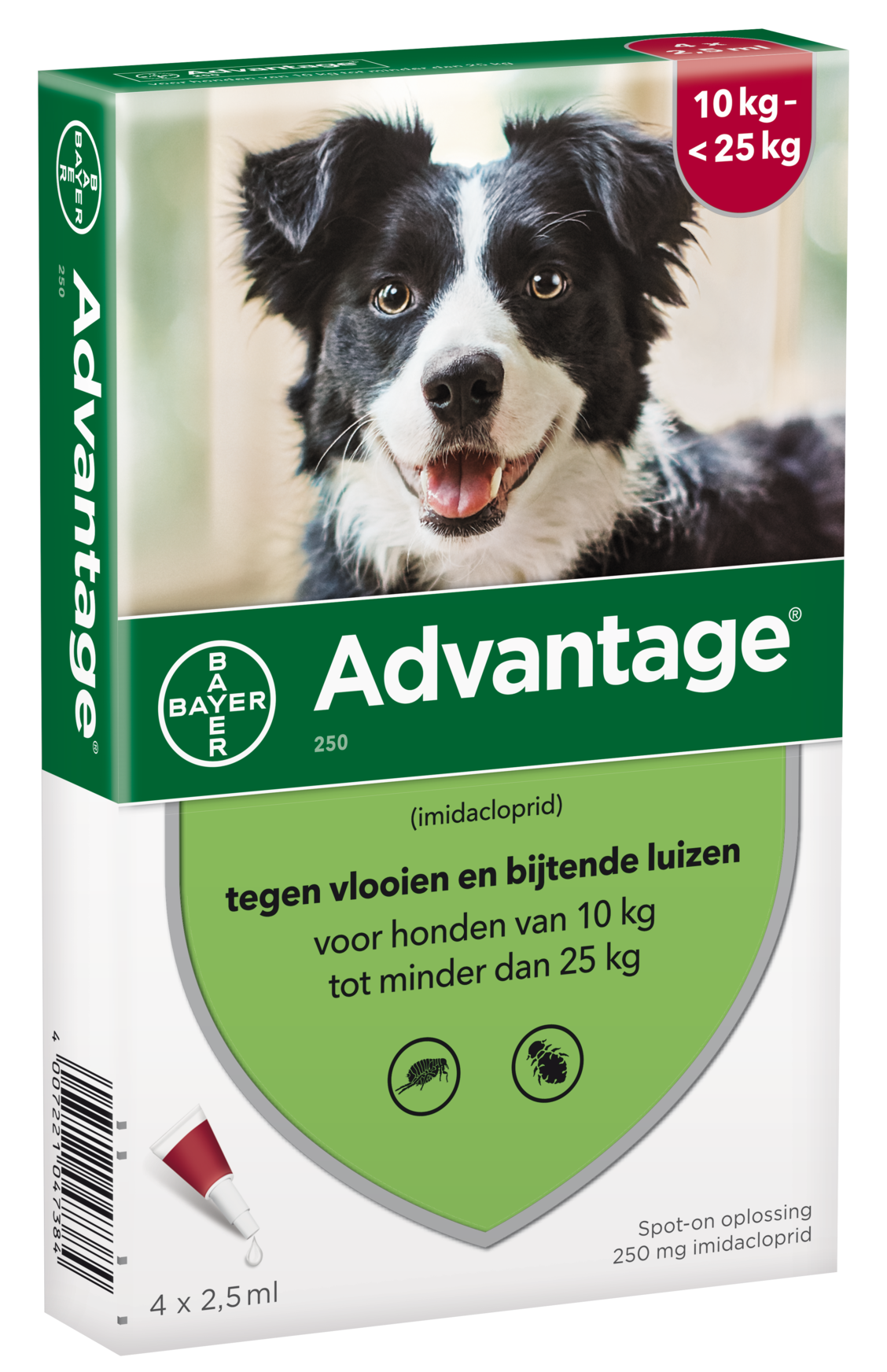 אדוונטג' אמפולות הדברה לכלבים 10-25 ק"ג נגד פורעשים וקרציות Advantage for dogs