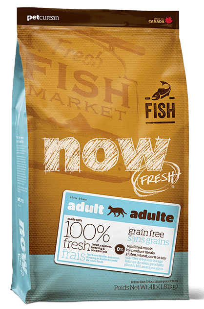 נאו מזון לחתולים בוגרים ללא דגנים דגים 3.6 ק''ג NOW FRESH Grain Free fish Adult