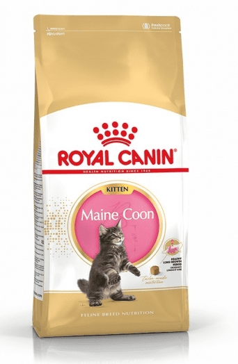 רויאל קנין חתול מיין קון קיטן 4 ק"ג Royal Canin Maine Coon