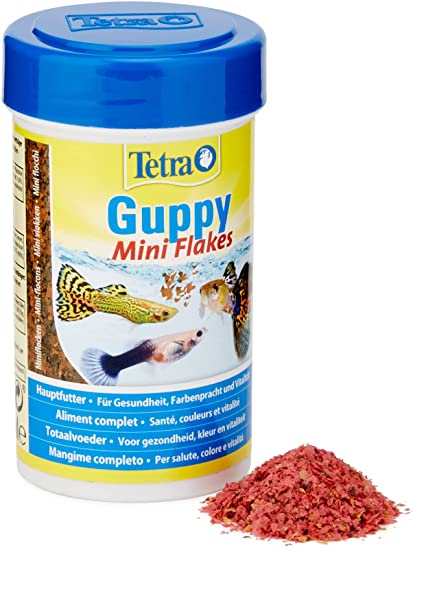 טאטרה גופי פתיתי מזון דגים Tetra Gupy Mini Flakes